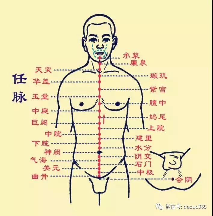 腹式呼吸:最有效的打坐静修调息功法