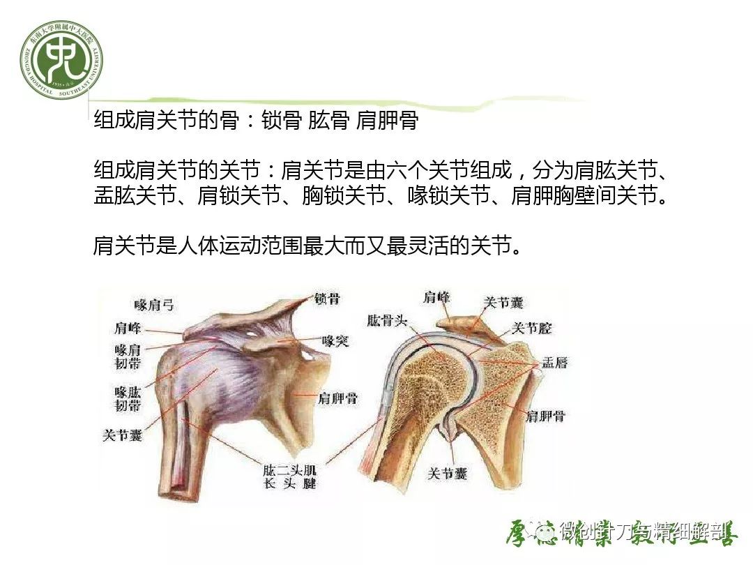 粘连性肩关节囊炎