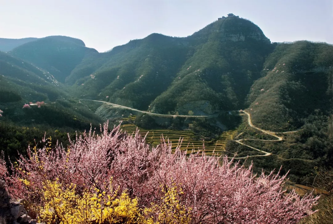 许一场春天的约会!邂逅魅力的云台山!