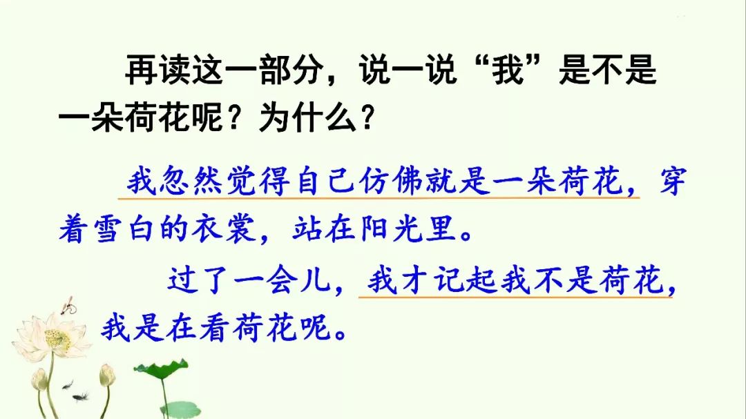 微课堂部编语文三年级下册课文3荷花教学视频