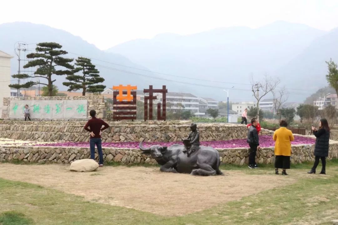 春天,在瑞安曹村寻找"诗画田园"_温州