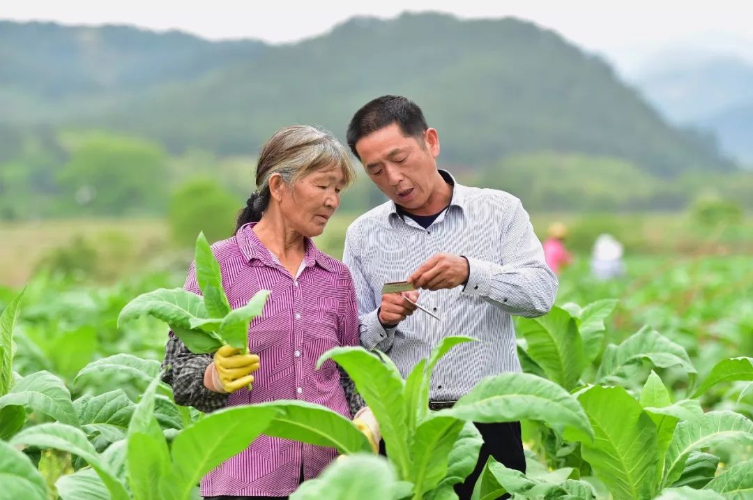 让老区人民过上富裕幸福的生活!这件事,赣州正全力以赴!