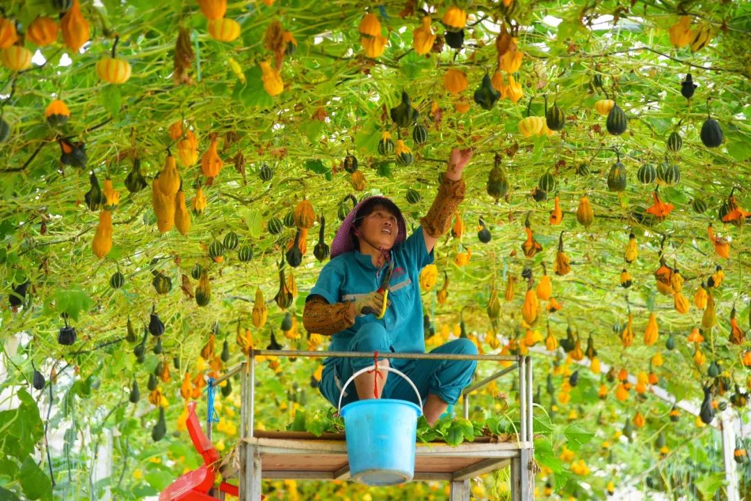 让老区人民过上富裕幸福的生活!这件事,赣州正全力以赴!