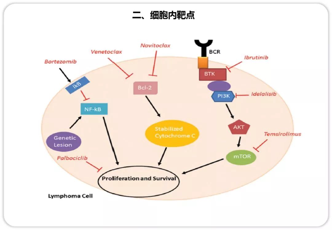 淋巴瘤gdp(3)