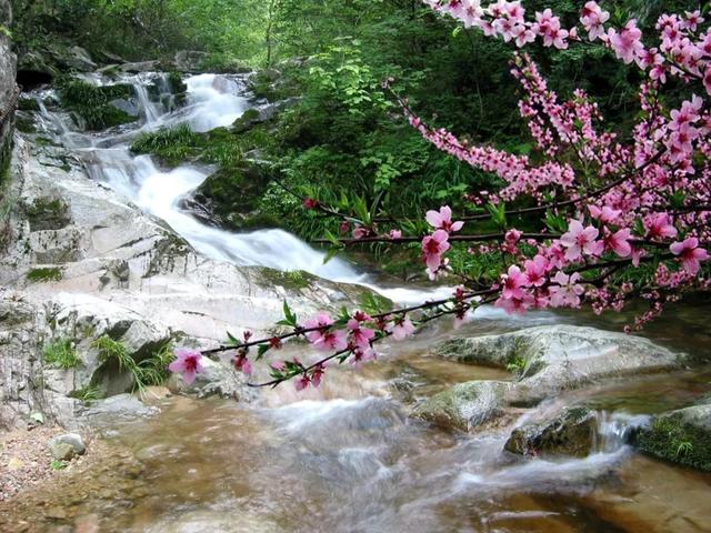 除了蘇東坡，黃岡還有什麼？ 旅遊 第16張