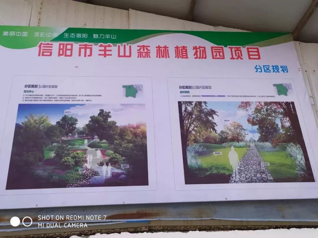 39亿元,你关注的羊山森林植物园建设进展怎么样了?_信阳市