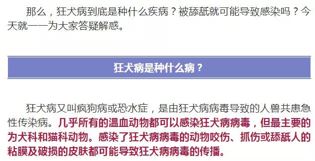 被狗舔后,男孩突发狂犬病而亡?其实这个细节决定生死