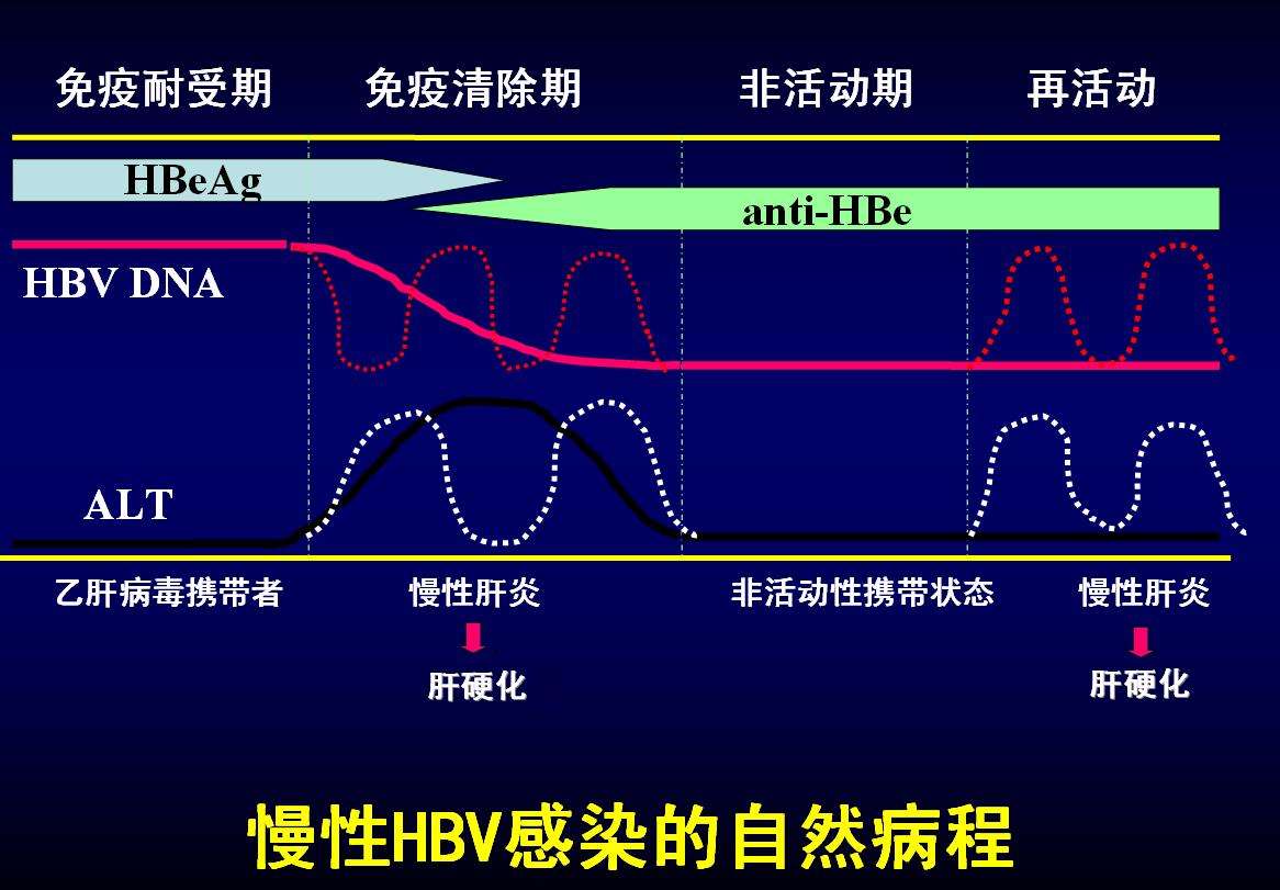 肝功能gdp_复查过肝功能的进来看一下 国内航空 kongjie.com