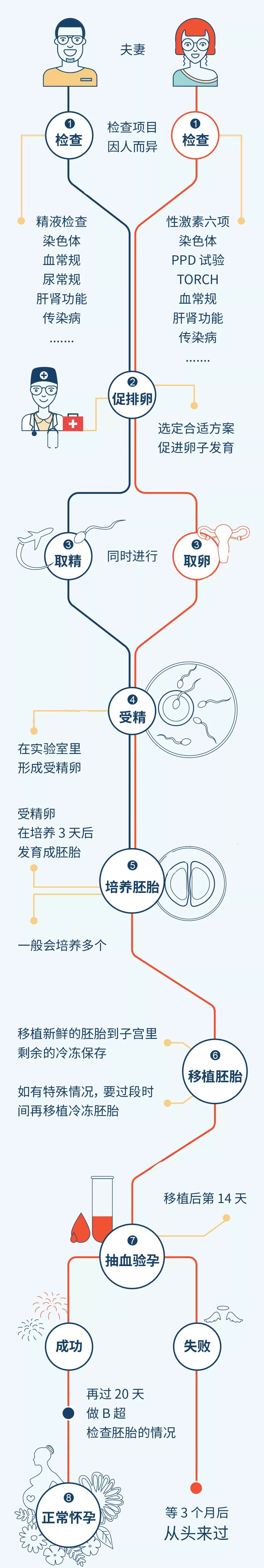 什么 是试管 婴儿 体外受精联合胚胎移植技术(ivf),又称试管婴儿,是