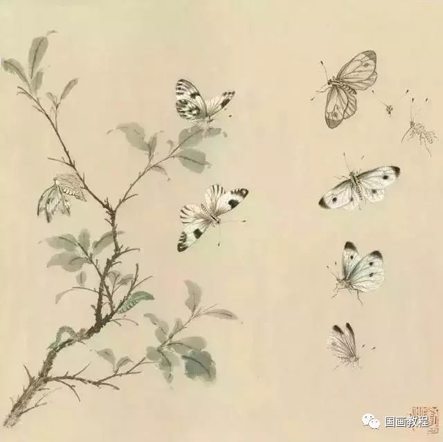 【国画教程】蝴蝶蜜蜂画法,简单实用_马蜂