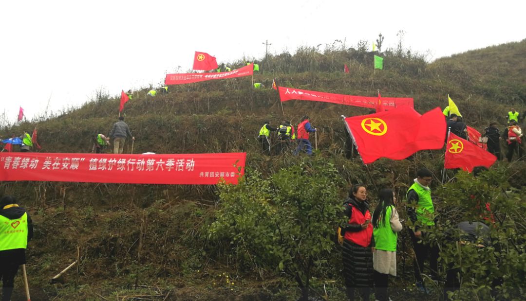 阳春三月暖 青春"绿动"行——2019年"青春绿动·美在安顺"植绿护绿