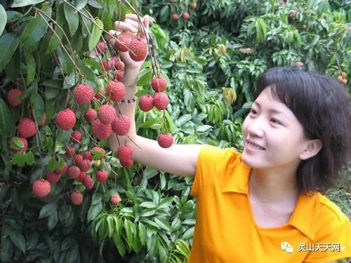 灵山太平的人口概况_灵山太平中学图片