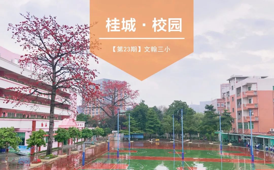 桂城教育 一校一品第23期 文翰三小(原三山小学)桂城三山岛上