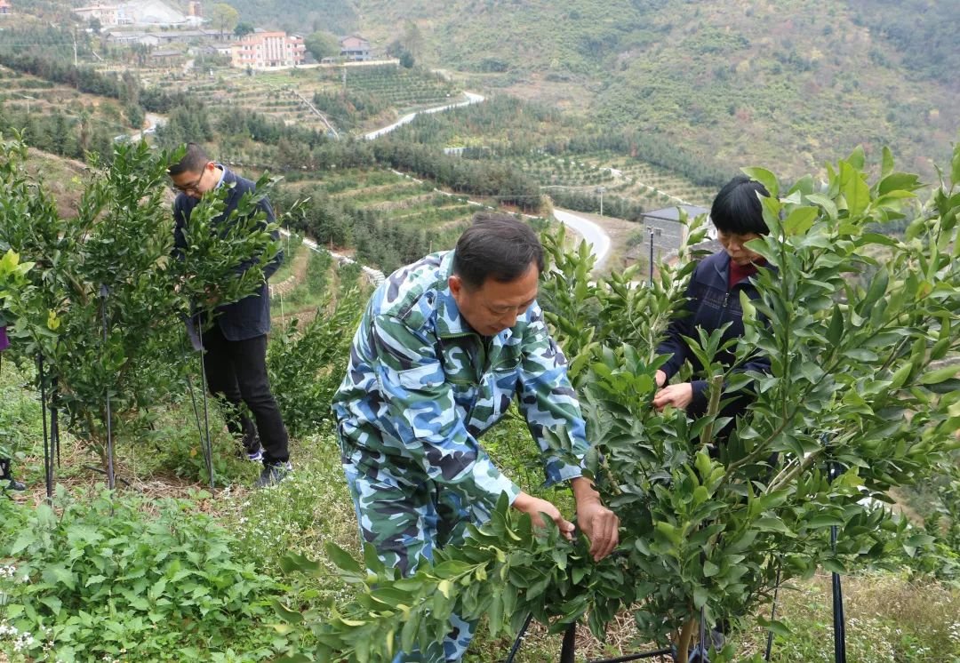 张生才的家乡在永春县苏坑乡洋坪村,父母都是永春