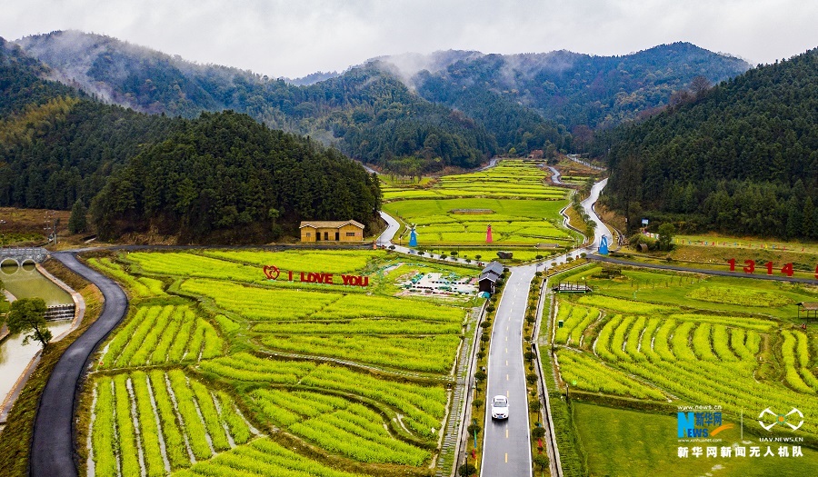 2月21日,江西省新余市渝水区下保村数百亩油菜花田仿若画卷,美不胜收.