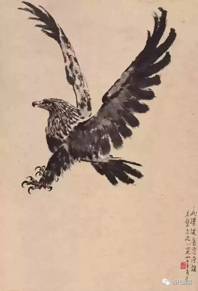 徐悲鸿画鹰,以没骨与勾勒相结合.