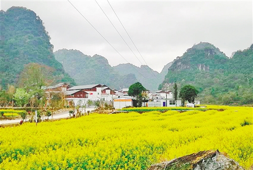 广西田阳县巴某村:乡村旅游旺 发展后劲足