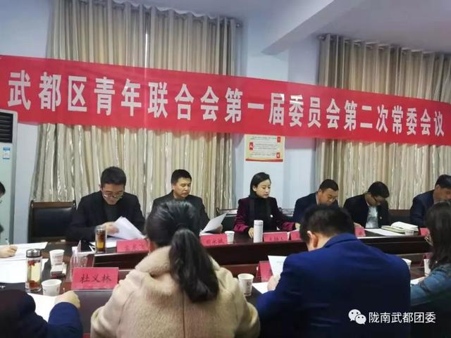 陇南市武都区青年联合会第一届委员会第二次常委会召开