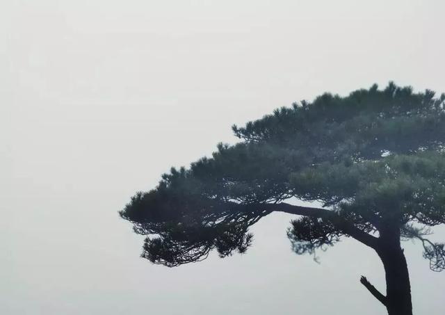 三清山下雨怎么办