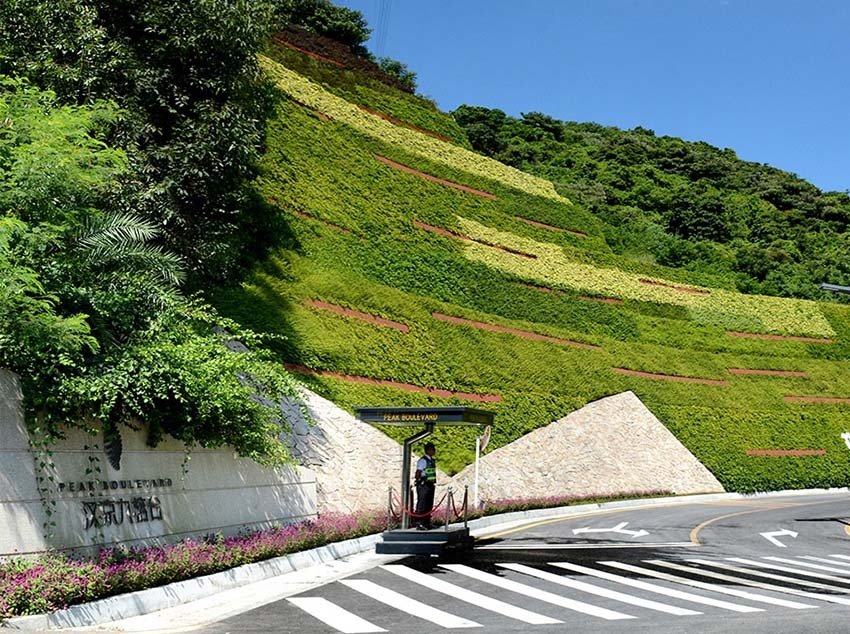 道路,桥梁两侧坡地绿化应选择吸尘,防噪,抗污染的植物.
