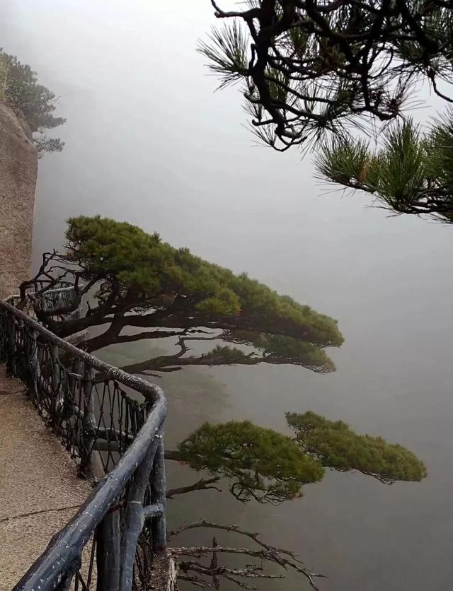 三清山下雨怎么办