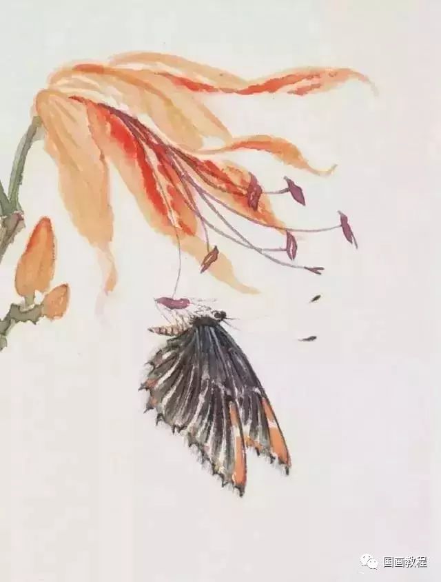 【国画教程】蝴蝶蜜蜂画法,简单实用_马蜂