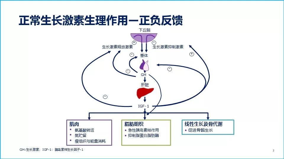 【重组人生长激素】生长发育评估-实验室检查