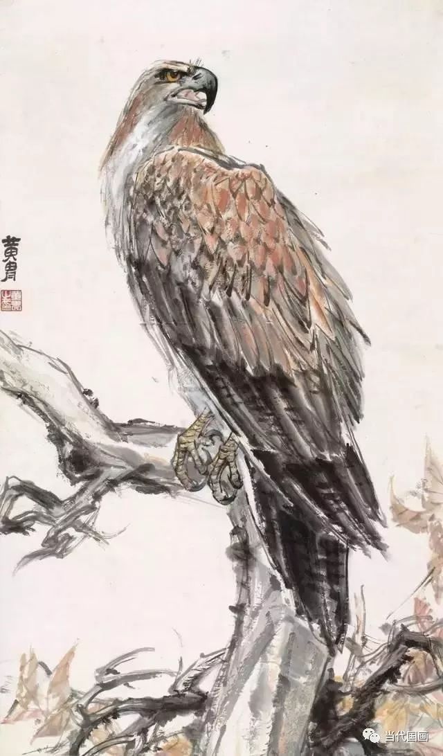 李苦禅 松鹰图 李苦禅先生画得最生动的是鹰的眼睛,在他的笔下,鹰的
