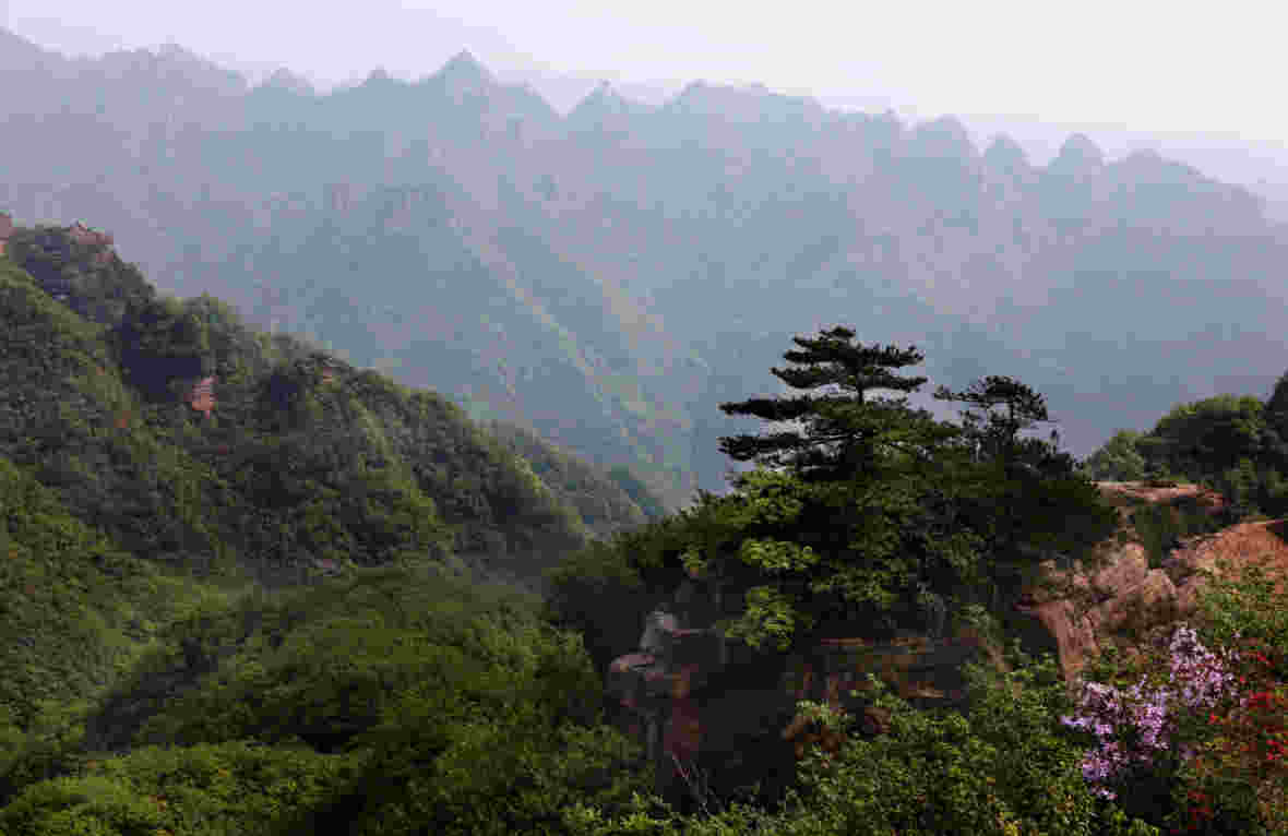 這裡是桃花源記里的武陵，山美水美風景美 旅遊 第2張