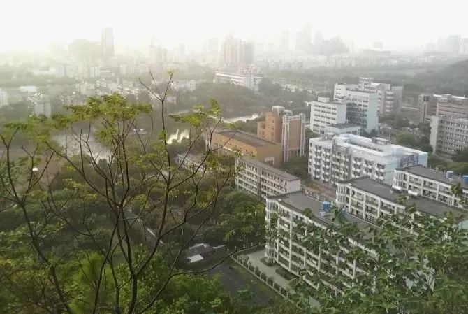 柳州人,你一定没见过这样的广西科技大学!美到炸裂!