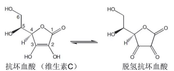 护肤有效成分6种维生素c衍生物的结构及效果