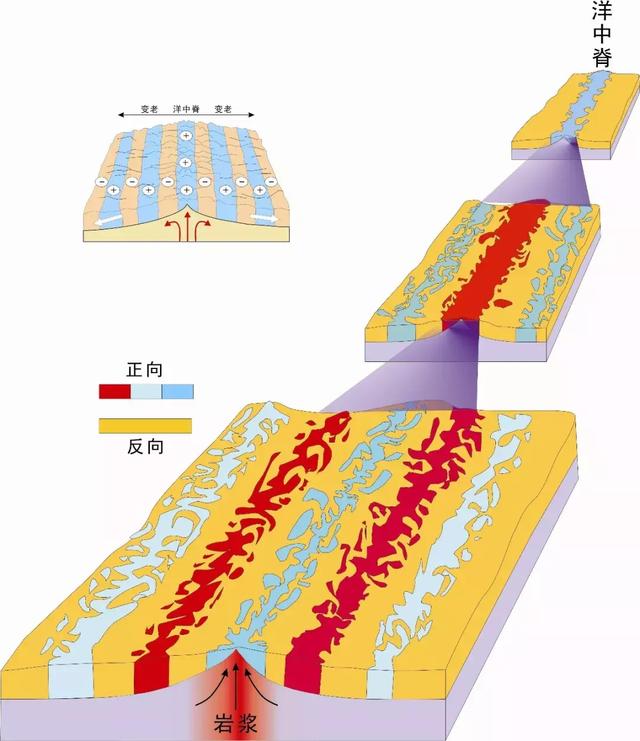 而远离洋中脊的地壳相对稳定,所以保持了原本的陆地性质.