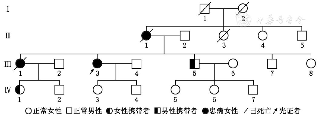 神经遗传遗传性弥漫性脑白质病变合并球状轴索一家系临床和影像学特征