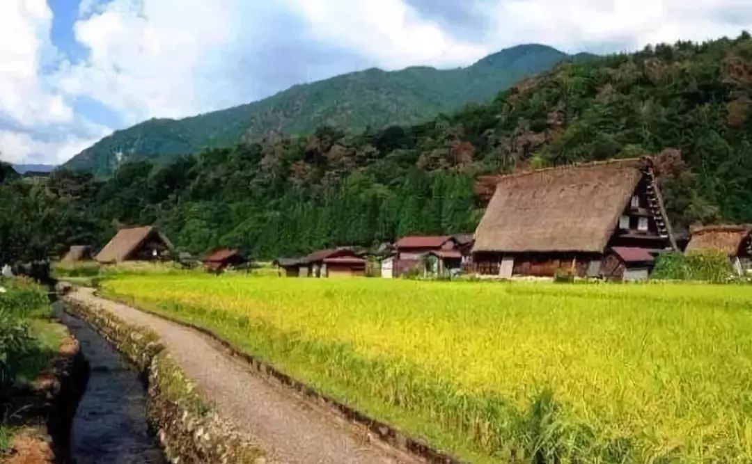 日本乡村振兴战略的借鉴和启示