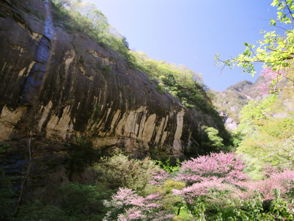 只为遇见最美的你,太白山,红河谷景区"女神节"优惠来袭!