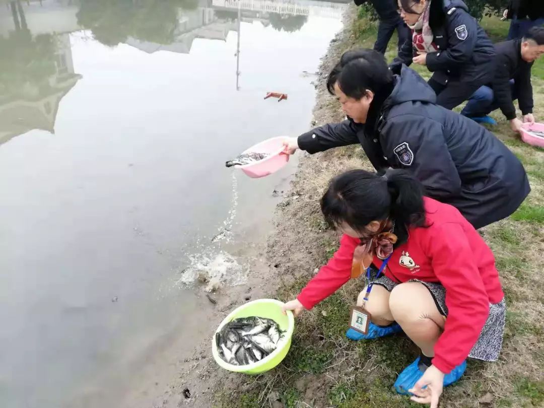 劝君莫食三月鲫曹路镇加强禁渔期工作巡查