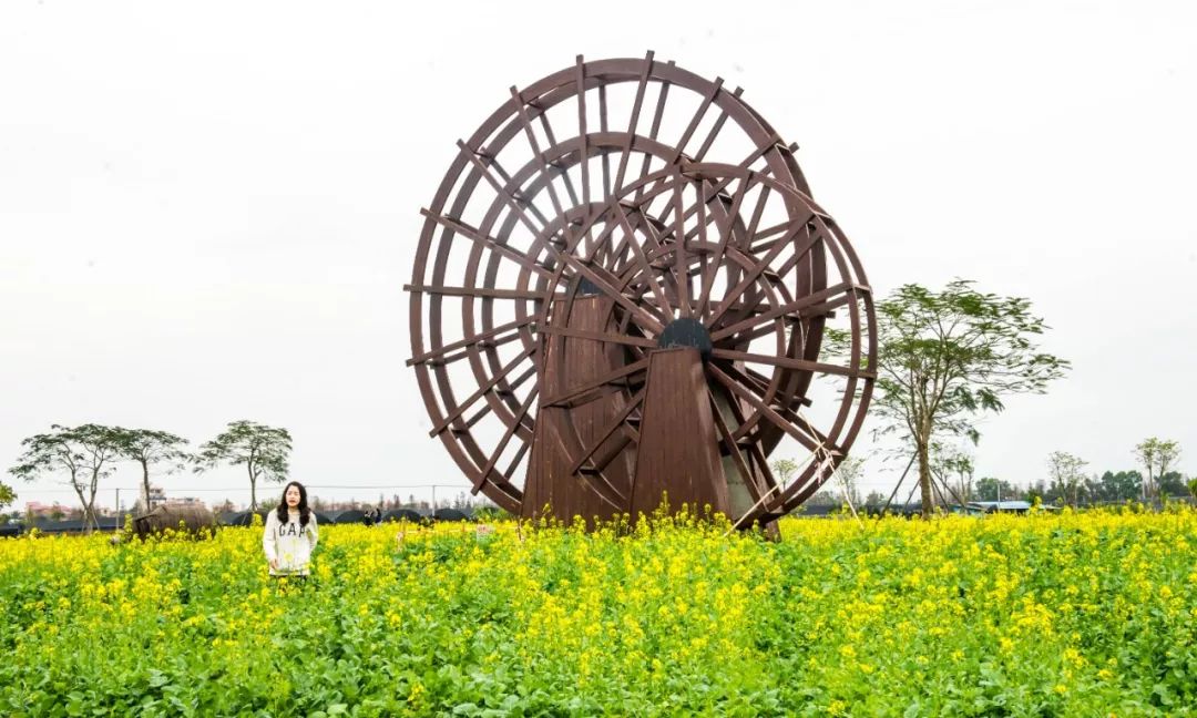 和春天约会 伴花儿起舞 3月9日 一起来贤鲁岛热血徒步 快组团报名啦 团队