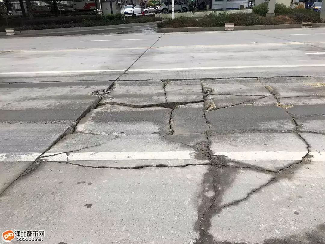 浦北这段路去年才大修,现路面已多处龟裂,还有大"坑"