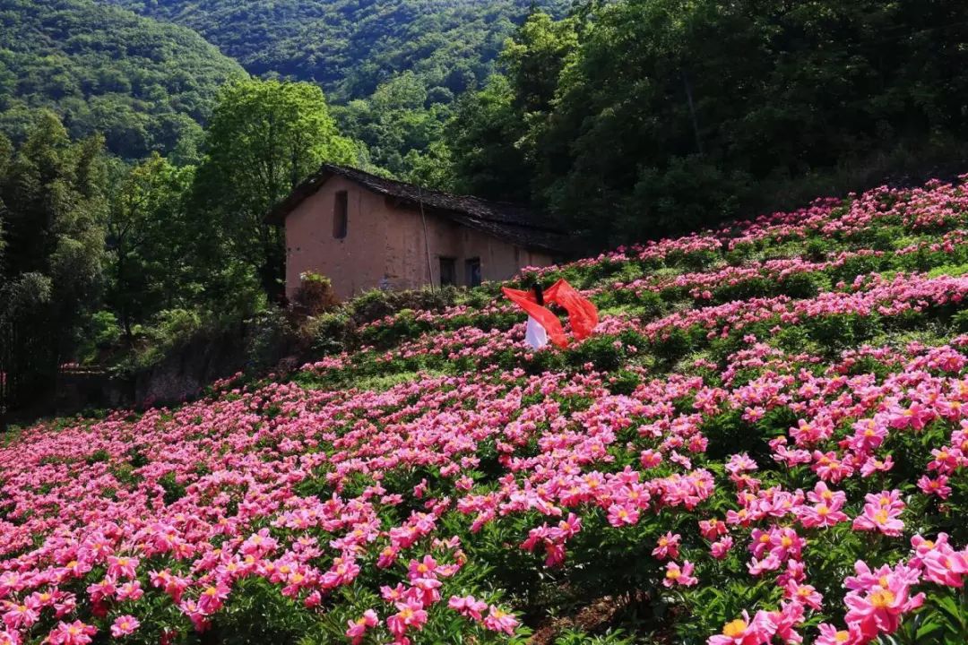 安康旅游春暖花开我们一起向旬阳出发