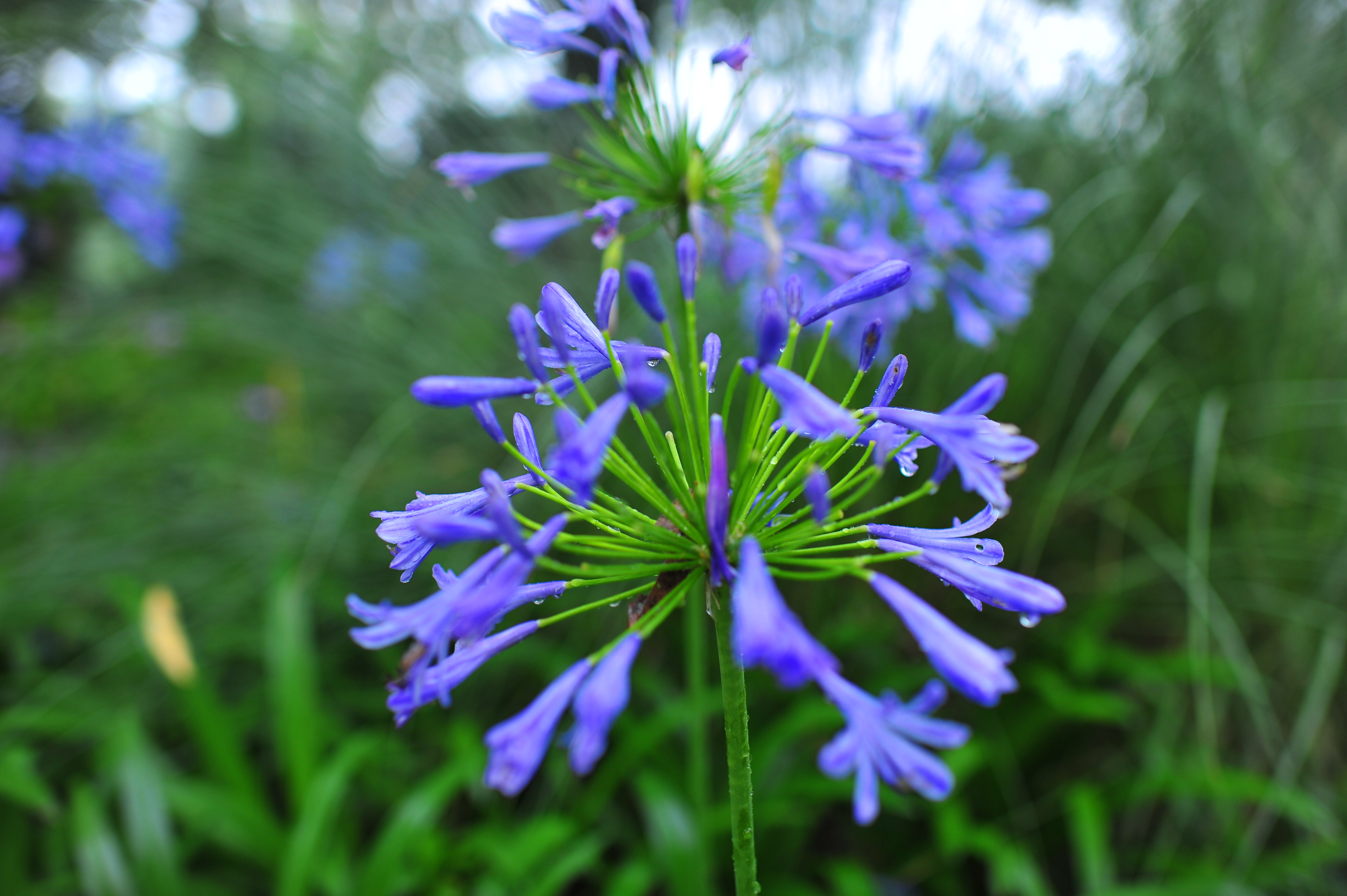 3月3日是世界野生动植物日 河北林业和草原局约您一起保护野生动物 物种