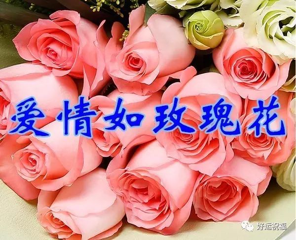 1日,3月第一天,一定要打开,越快越好!为3月开一