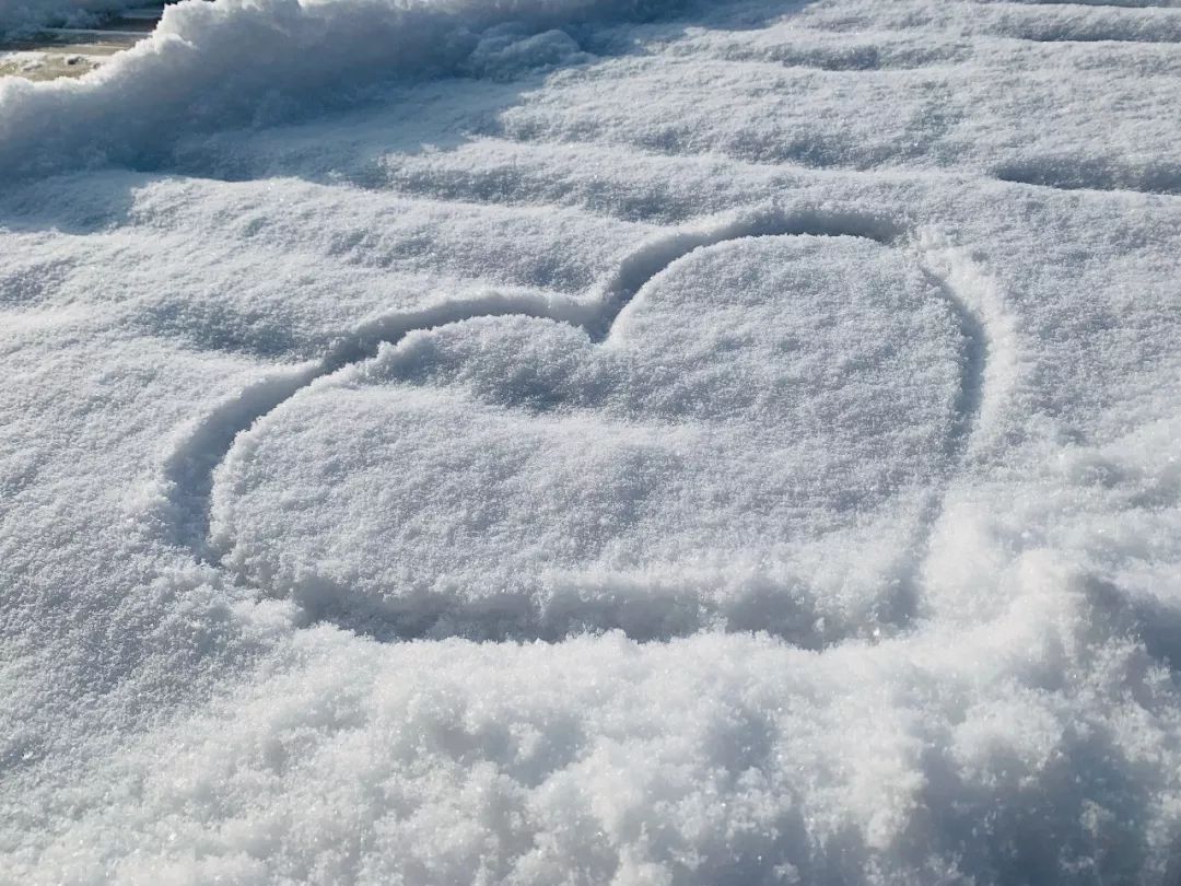 明日雪况丨比心粉雪一起到白头