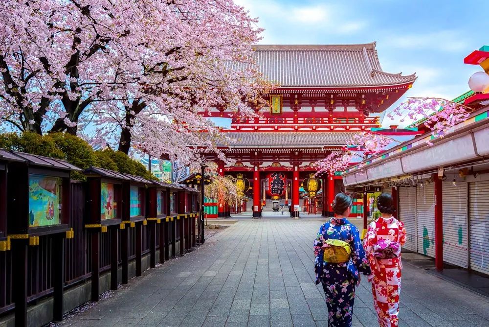 2019日本樱花花期预测!春暖花开,赏樱该提上日