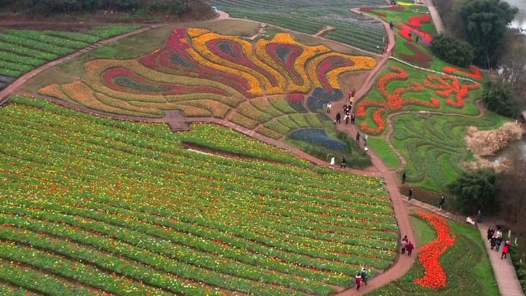 泸州市 纳溪区花田酒地景区