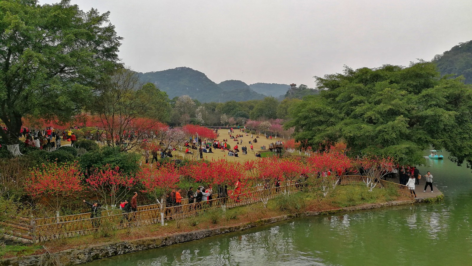 龙潭公园的"春花岛"上 种植了大量春天开花的植物 玉堂春,梨花,桃花