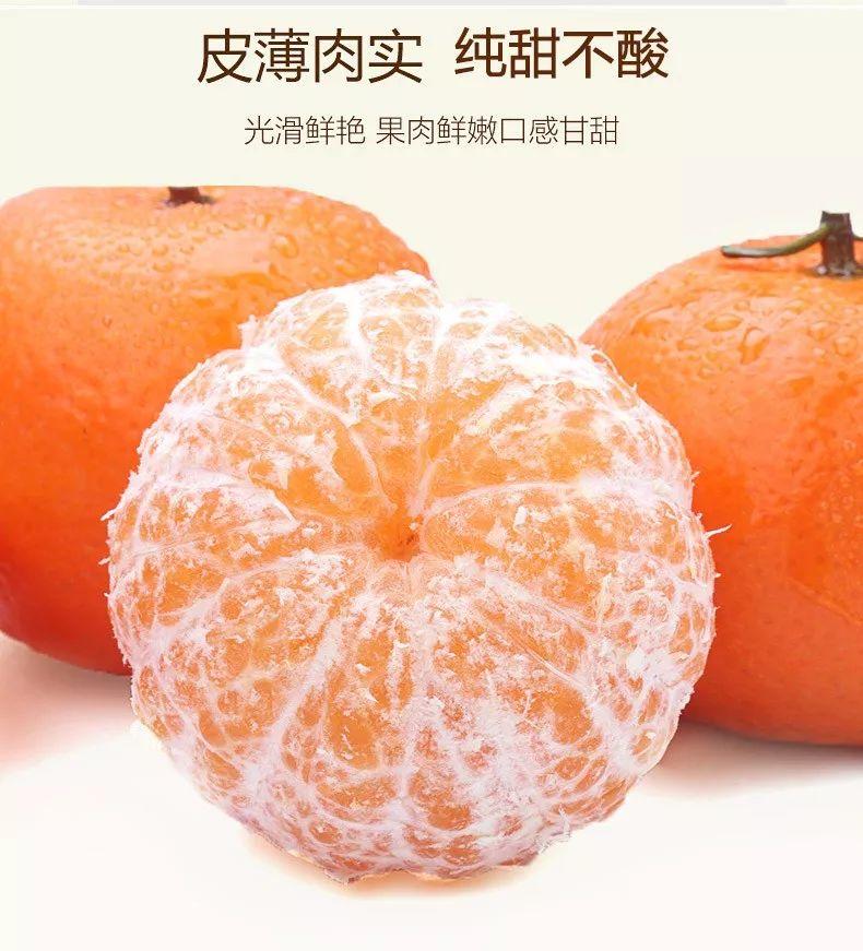 不能错过的春季水果,柑橘中的 扛把子 沃柑_广
