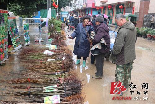 宁远县仁和镇有多么人口_宁远县水市镇周金艳