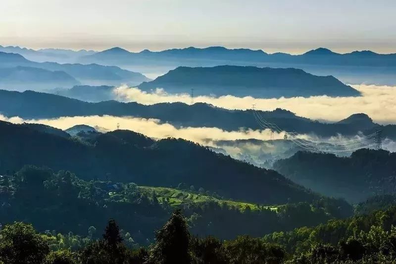 雷音铺森林公园