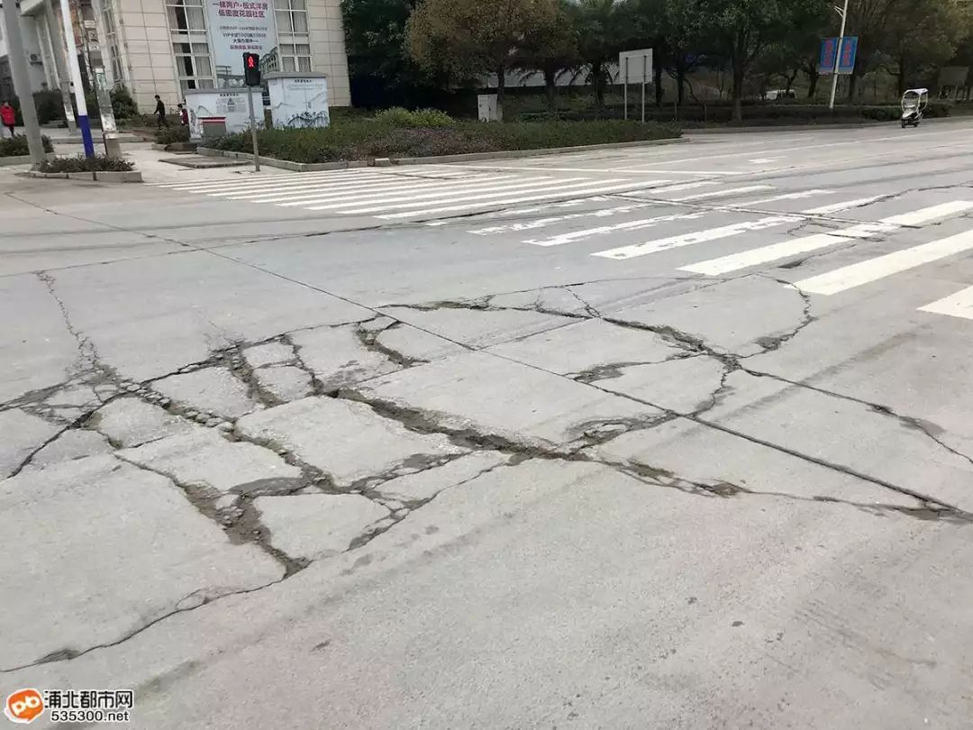 浦北这段路去年才大修,现路面已多处龟裂,还有大"坑"