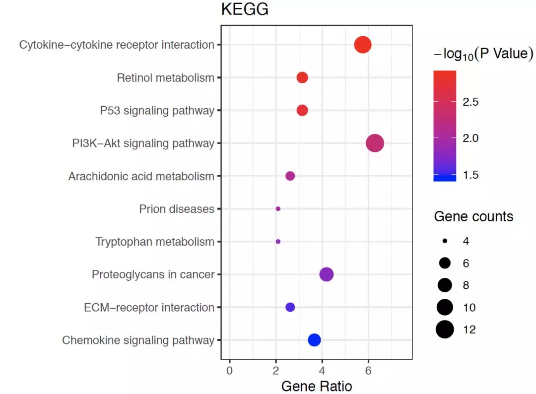 go/kegg功能富集分析 科研猫 出品:4/4)